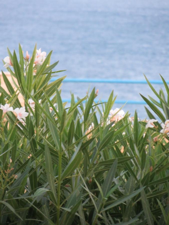 Nicolas Apartments Ierapetra  Ngoại thất bức ảnh
